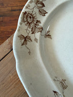 Antique Transferware