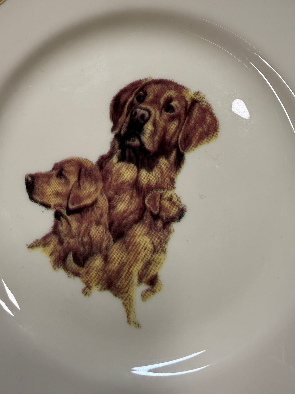 Golden Retriever Plate